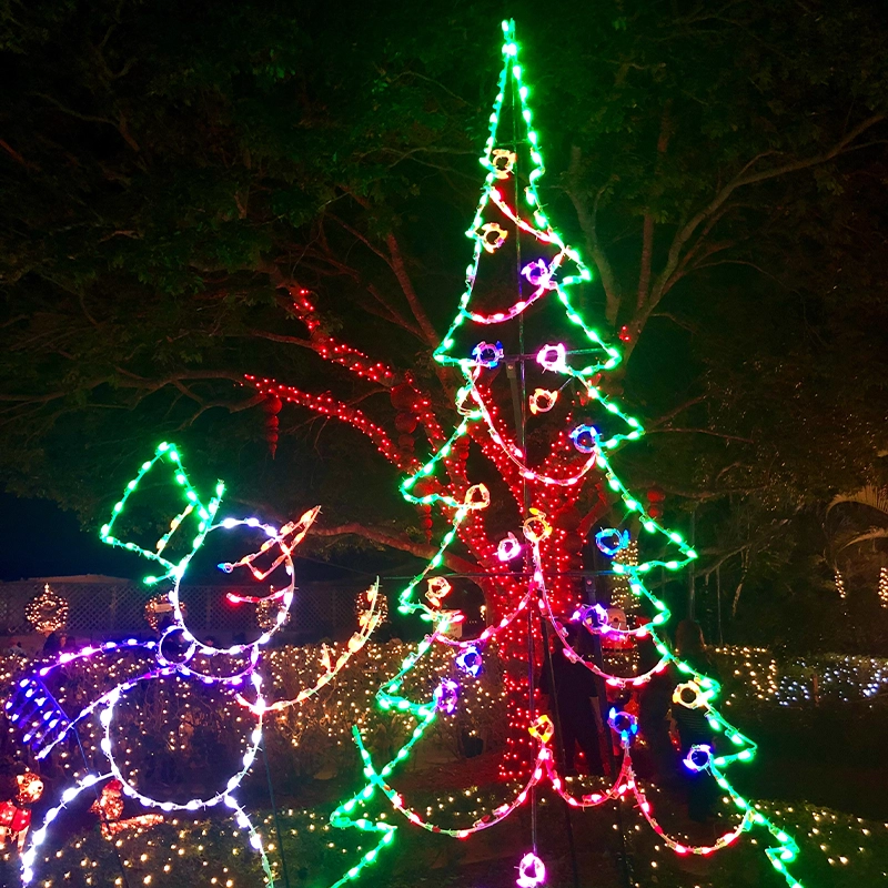 Holiday Lighting Hang My Christmas Lights Minneapolis, MN