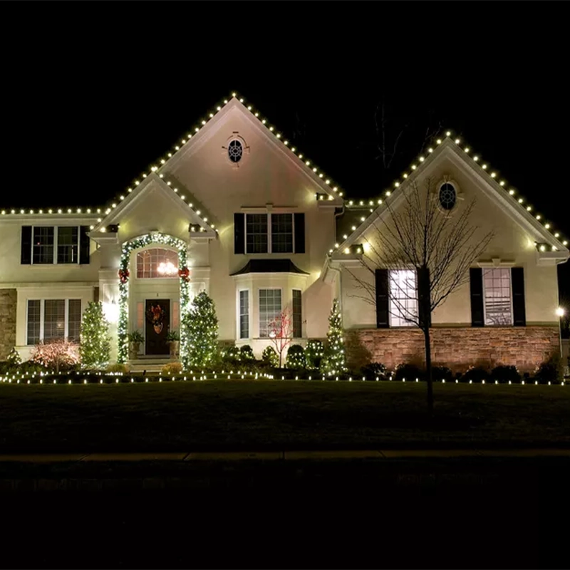 Holiday Lighting | Hang My Christmas Lights | Minneapolis, MN